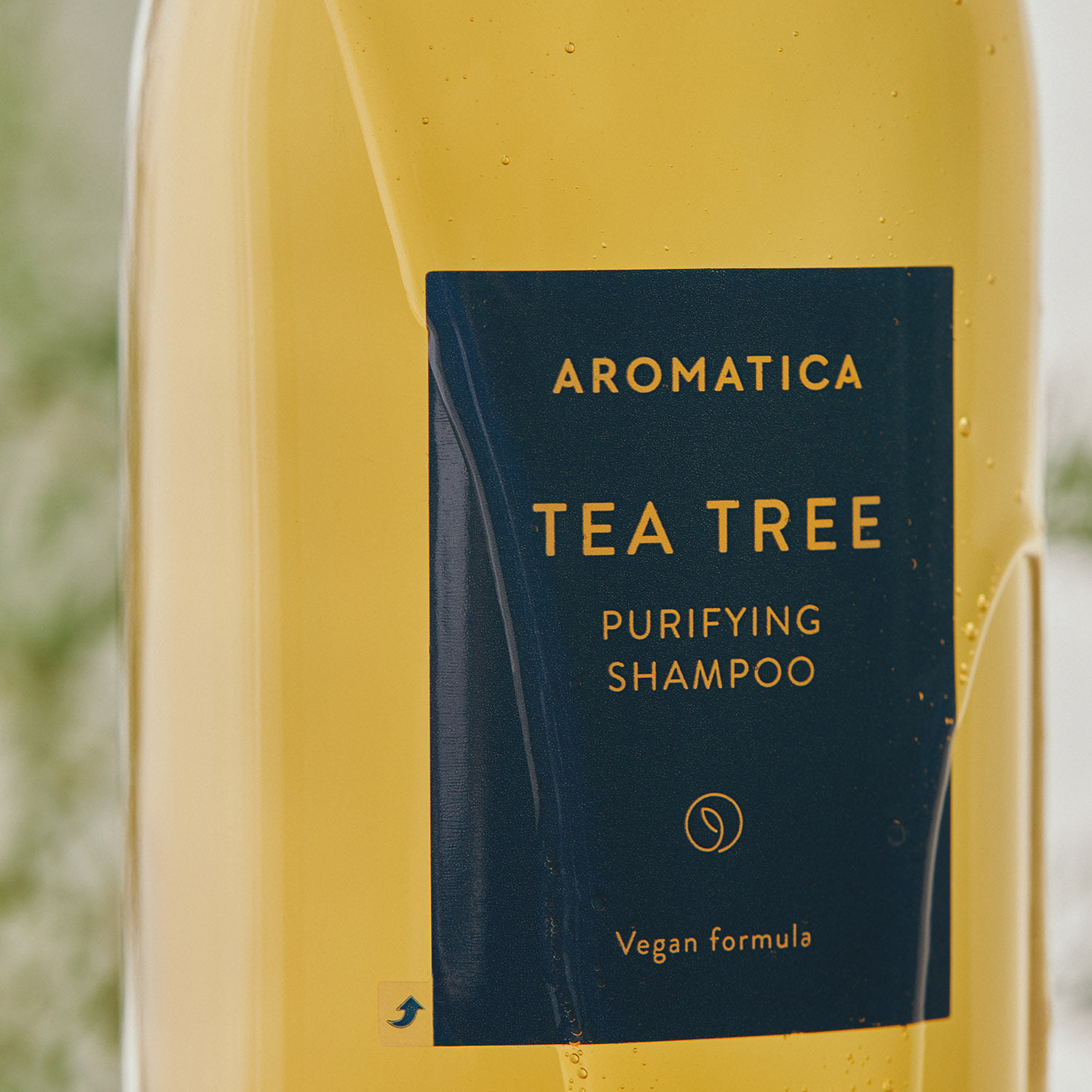 Tea tree Purifying Shampoo
