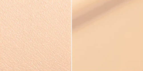 Micro Correctfit Cushion